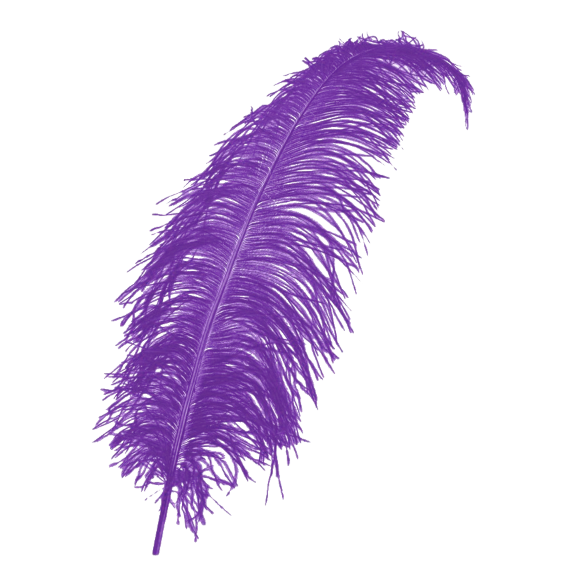 Veer - Paars - Spadonis - Piet - 50cm