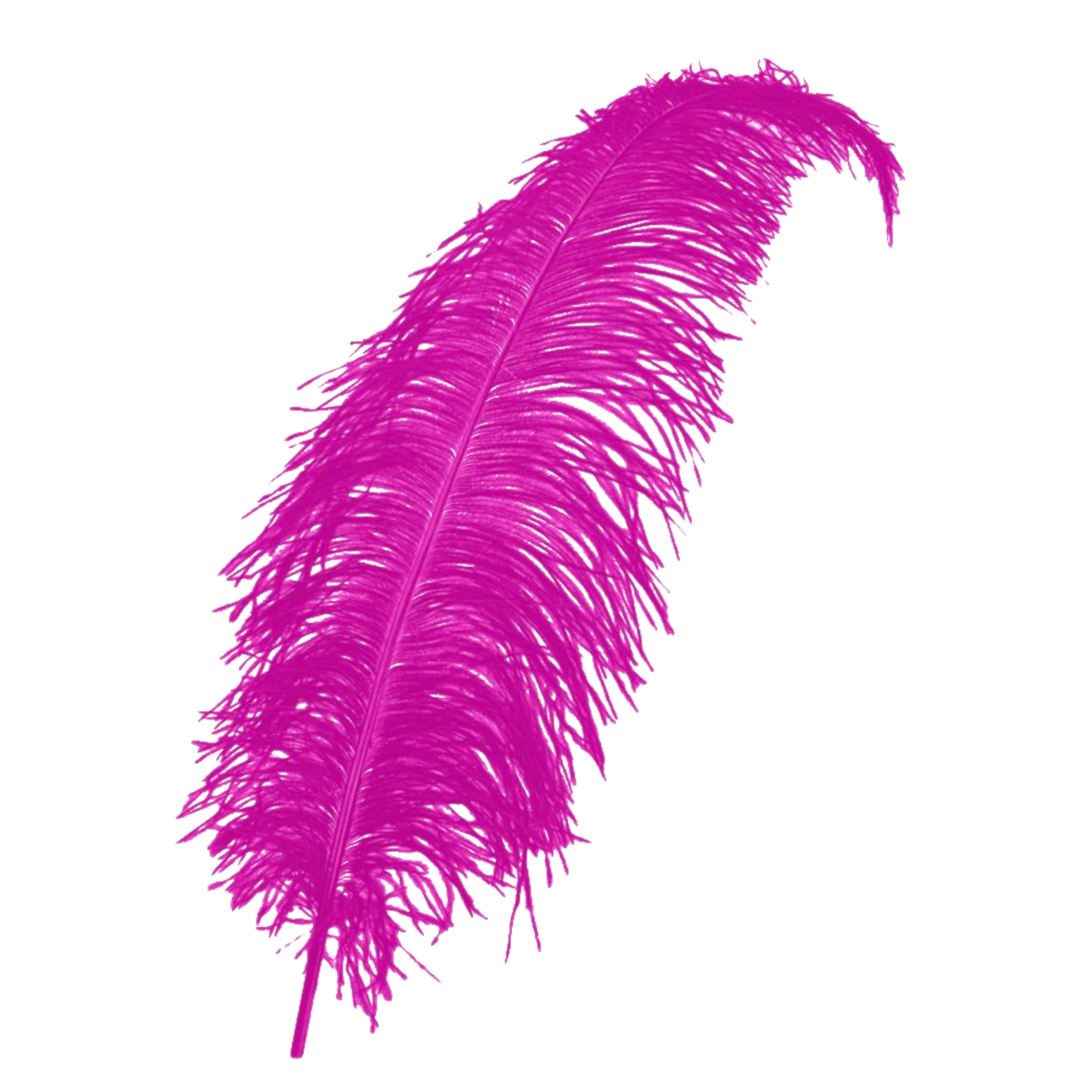Veer - Roze - Spadonis - Piet - 50cm
