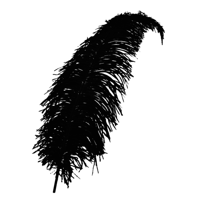 PartyXplosion Veer - Zwart - Spadonis - Piet - 50cm