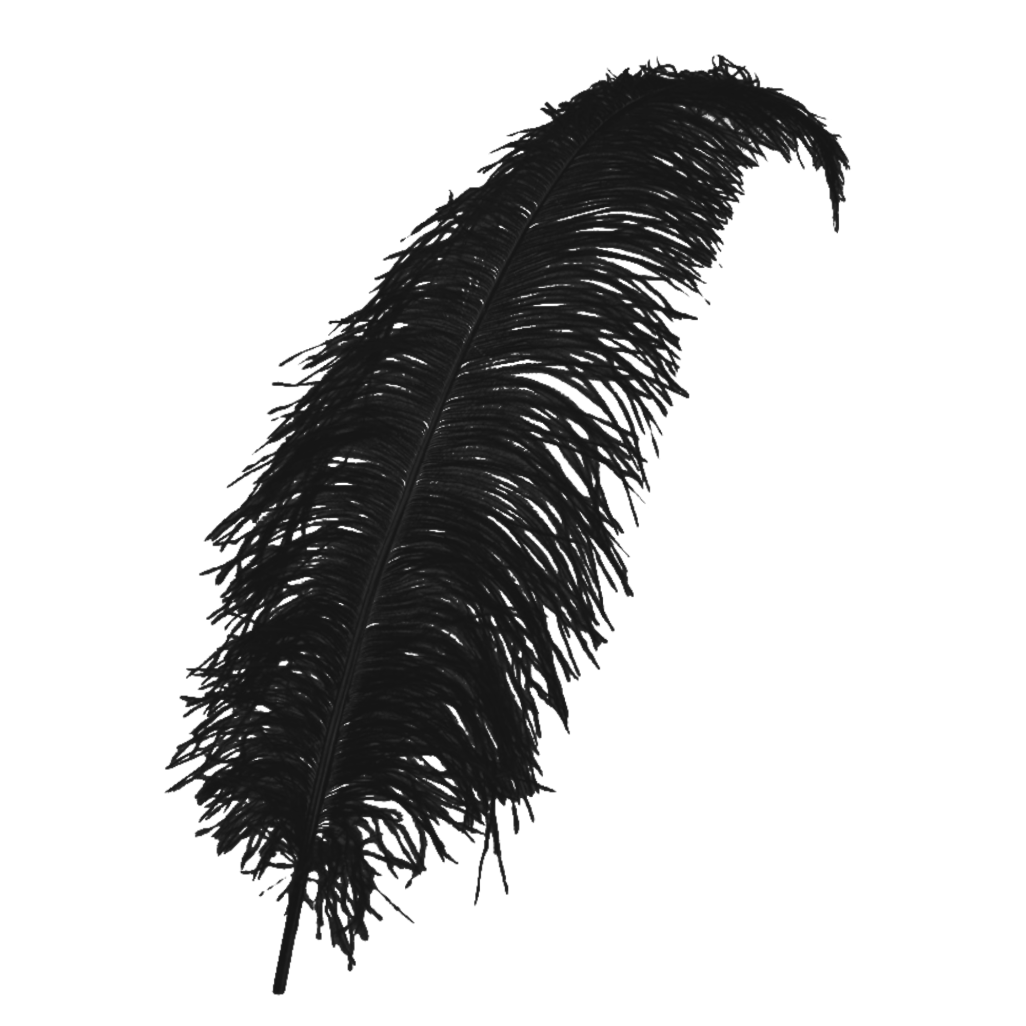 Veer - Zwart - Spadonis - Piet - 50cm