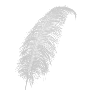 PartyXplosion Veer - Wit - Spadonis - Piet - 50cm