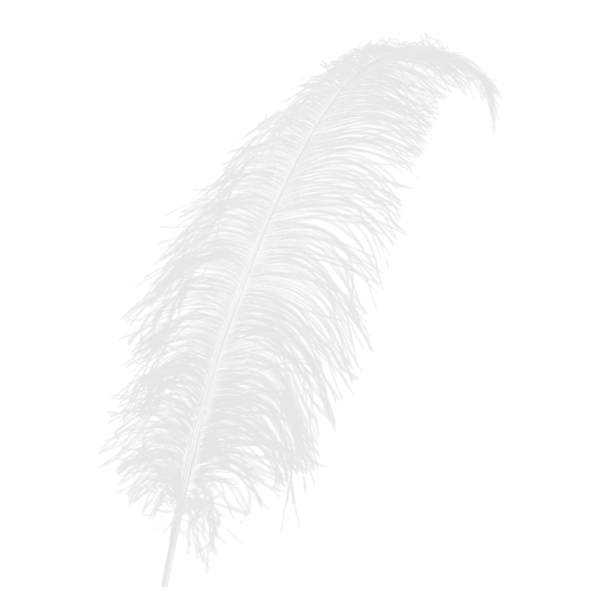 Veer - Wit - Spadonis - Piet - 50cm