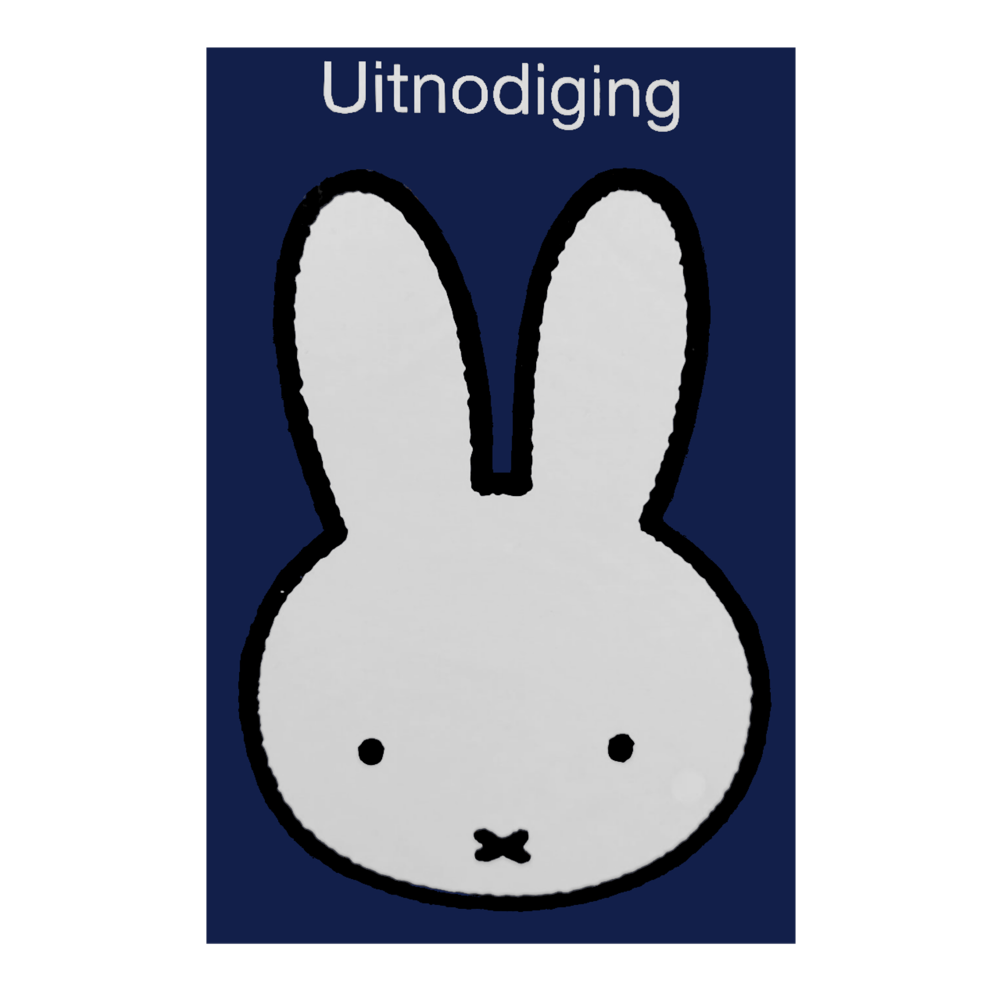 Uitnodigingskaarten - Nijntje - 6st.