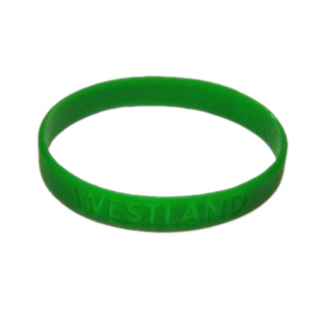 Sieraad - Armband - Westland - Groen - Groot