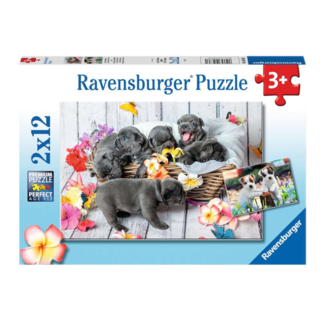 Ravensburger Puzzel - Schattige haarbolletjes - 2x12st.