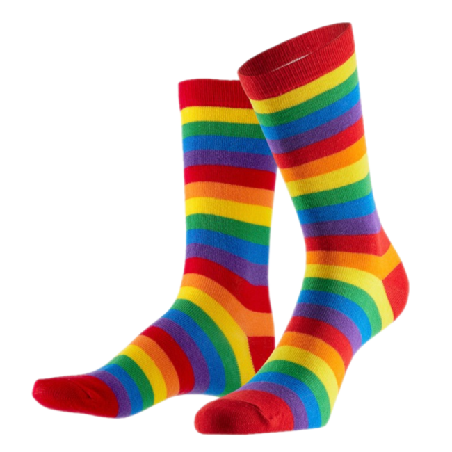 Ellendig afgunst Kolibrie Sokken - Regenboog - Gestreept - mt.36/41 - 1234feest.nl