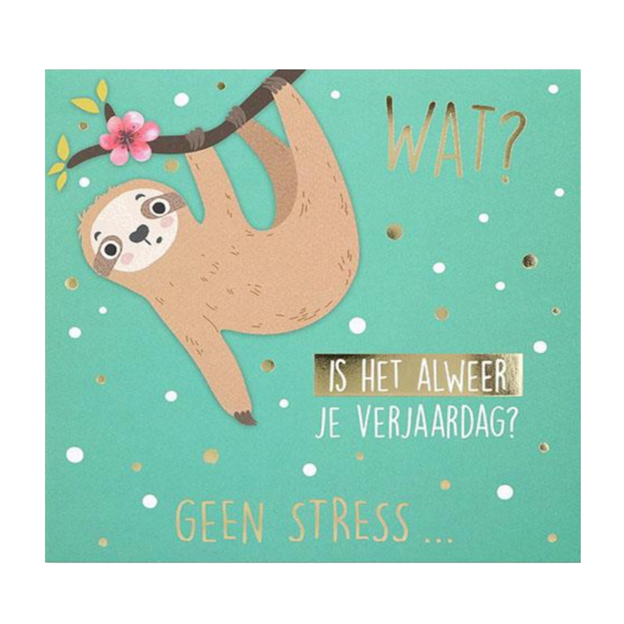 Kaart - Pop-up, licht & muziek - Is het alweer je verjaardag? Geen stress... - 023A.