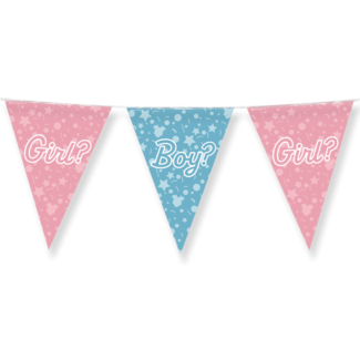 Paper Dreams Vlaggenlijn - Boy? Girl? - Gender reveal - 10m