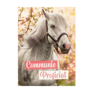 Artige Kaart - Seasonals - Communie proficiat - SCR11-B