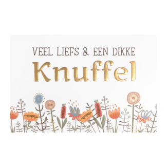 Artige Kaart - Daisy - Veel liefs en een dikke knuffel - DSY011-A