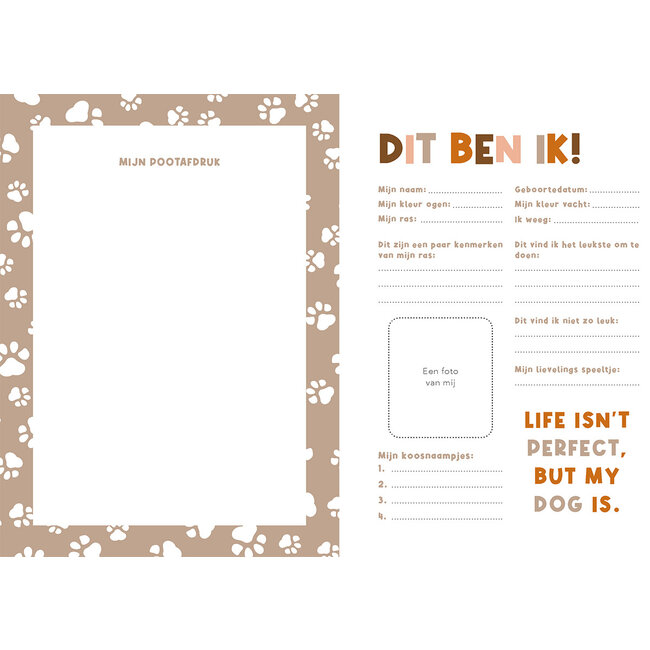 Lantaarn Boek - Handboek voor hondenbaasjes