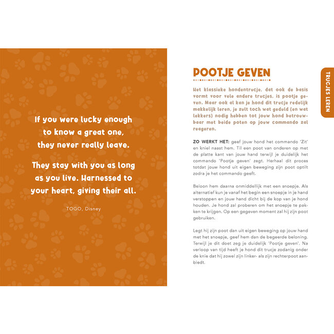 Lantaarn Boek - Handboek voor hondenbaasjes