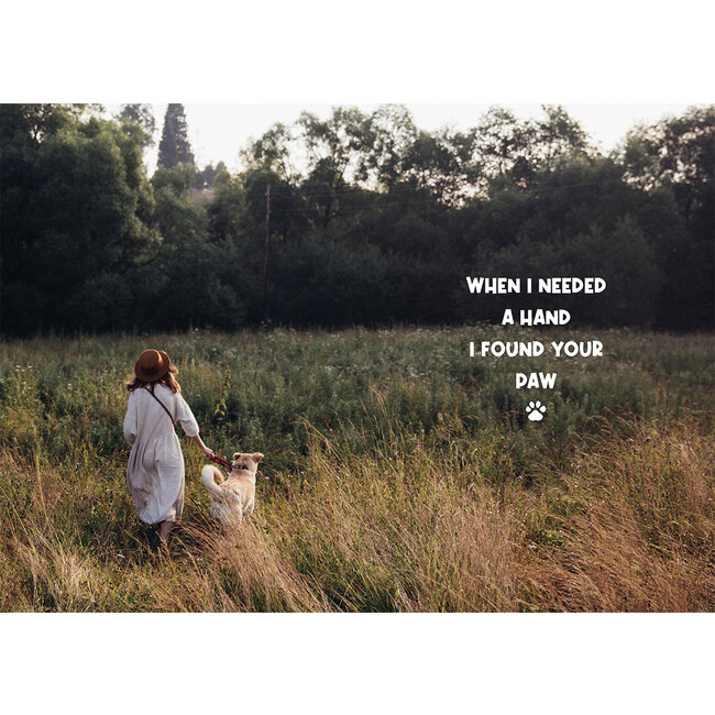 Lantaarn Boek - Handboek voor hondenbaasjes