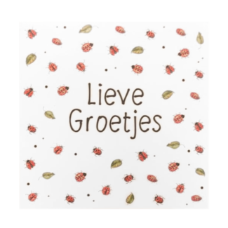 Artige Kaart - JBS - Lieve groetjes - JBM14-A