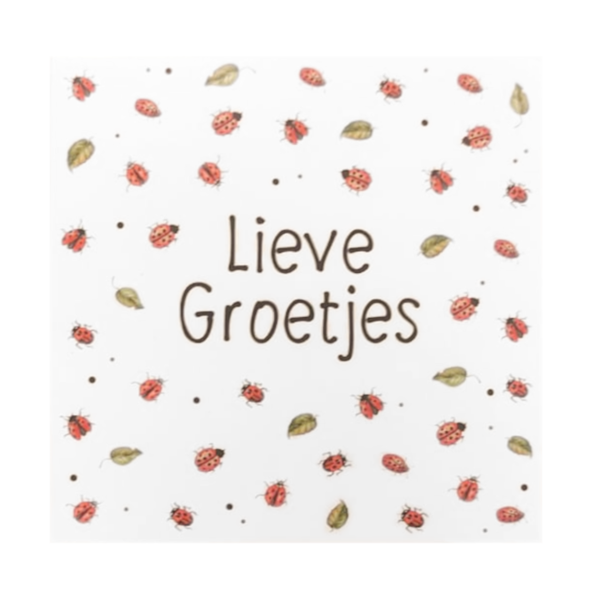 Artige Kaart - JBS - Lieve groetjes - JBM14-A