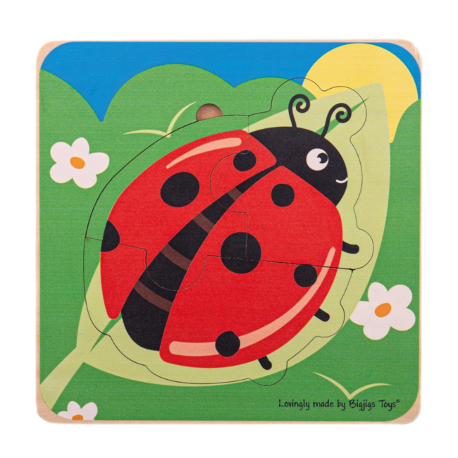 BigJigs Puzzel - Van eitje naar lieveheersbeestje - Levenscyclus - 3 lagen