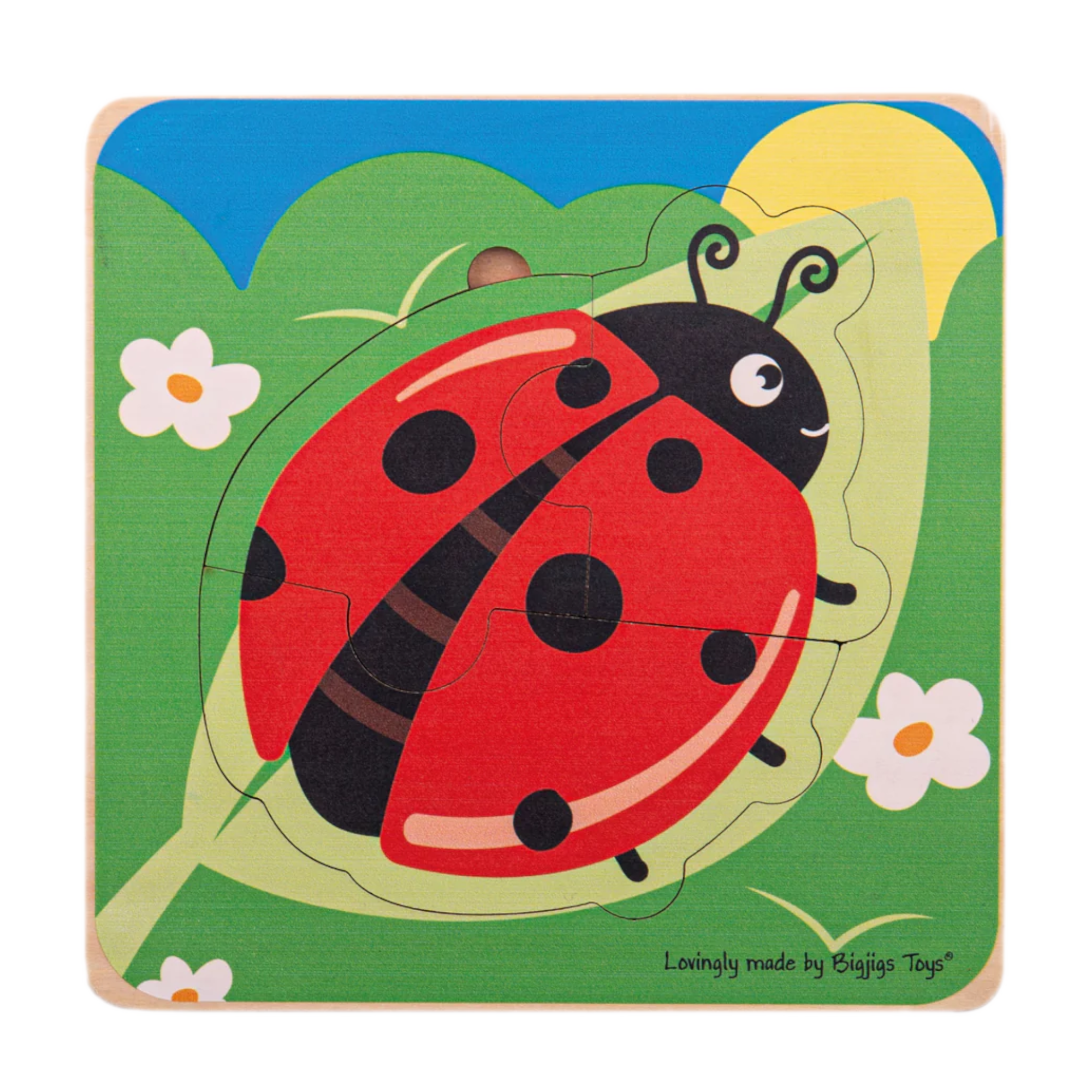 Puzzel - Van eitje naar lieveheersbeestje - Levenscyclus - 3 lagen