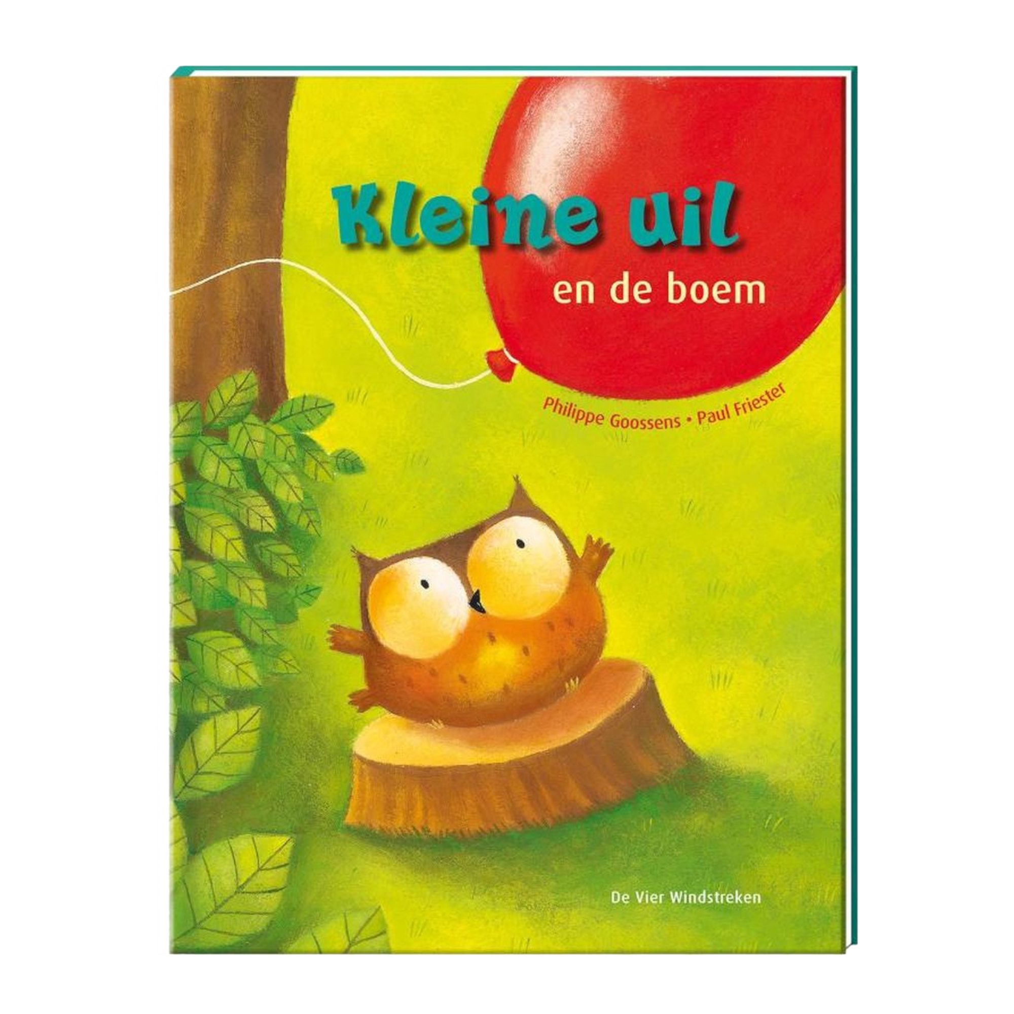 Boek - Kleine uil en de boem
