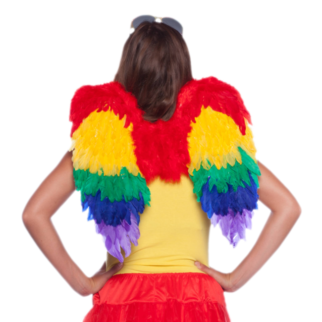 Folat Vleugels - Regenboog - Met veren - 50x50cm