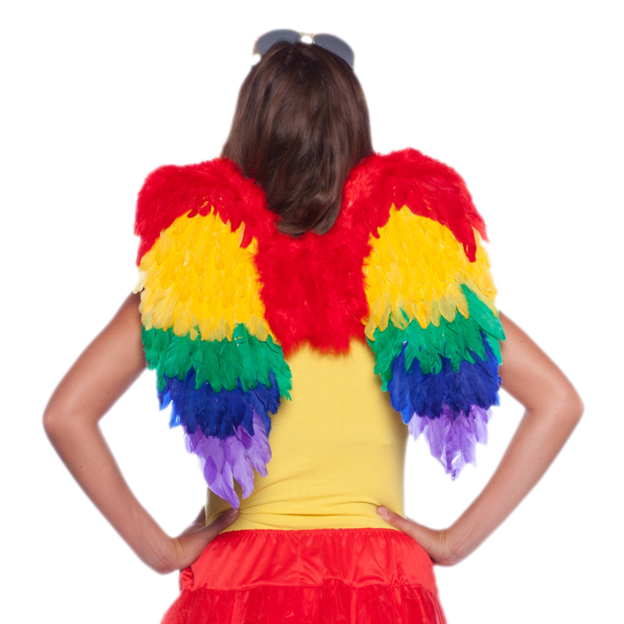 Vleugels - Regenboog - Met veren - 50x50cm