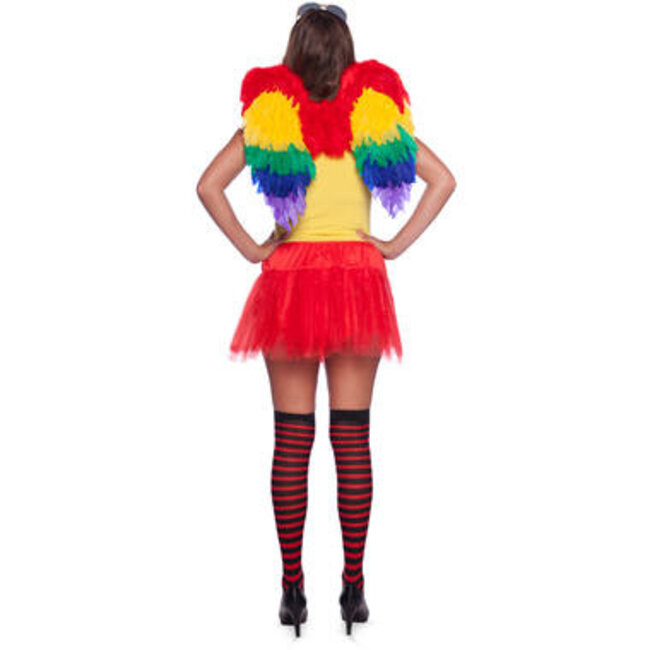 Folat Vleugels - Regenboog - Met veren - 50x50cm