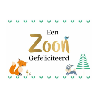 Artige Kaart - Daisy - Een zoon, gefeliciteerd - DSY002-A