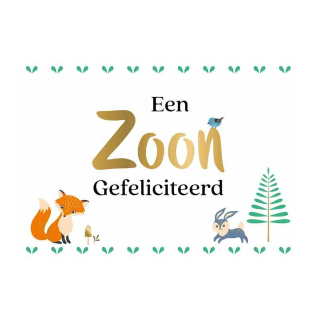 Artige Kaart - Daisy - Een zoon, gefeliciteerd - DSY002-A