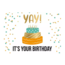 Artige Kaart - Daisy - Yay it's your Birthday - DSY042