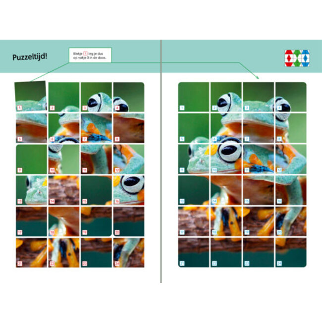 Loco Leerspellen Loco Maxi - Boekje - Werkwoordspelling - 7-9 jaar