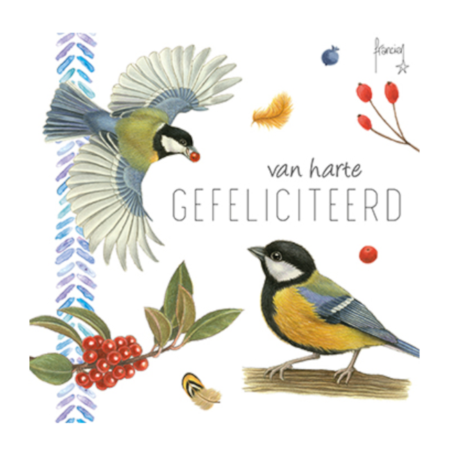 Comello Kaart - Franciens katten - Gefeliciteerd - Vogels