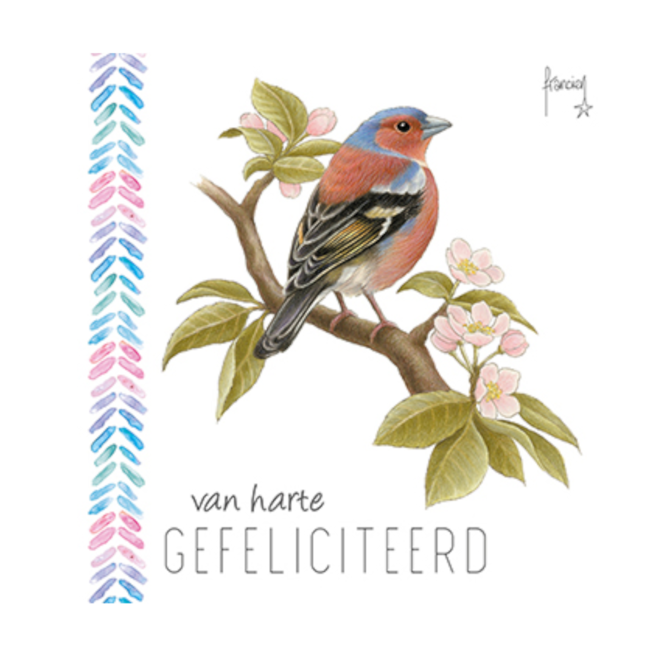 Comello Kaart - Franciens katten - Van harte gefeliciteerd - Vogel