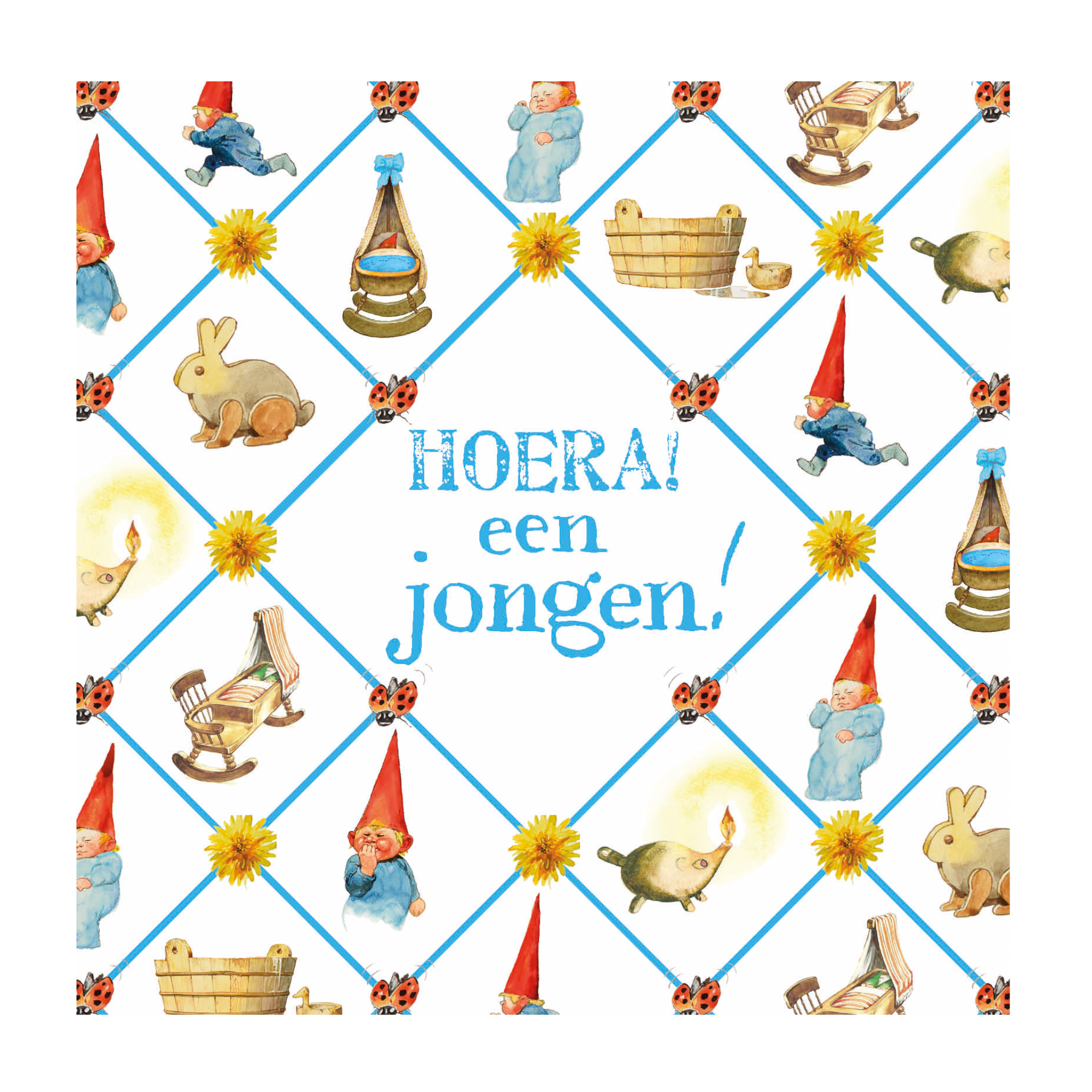 Kaart - Rien Poortvliet - Hoera een jongen!