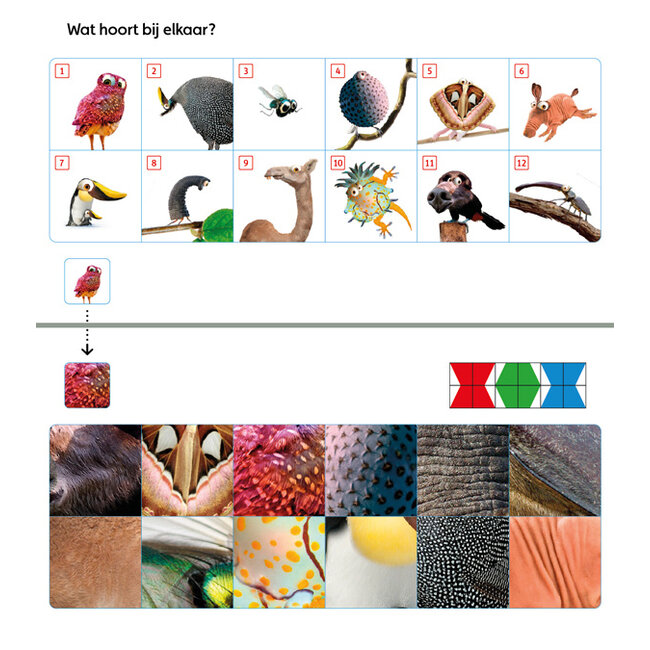 Loco Leerspellen Loco Mini - Boekje - Taalspelletjes - Groep 4 / leerjaar 2 - 7/8 jaar