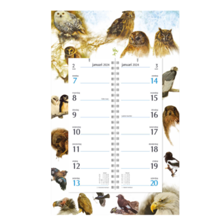 Comello Week omlegkalender - 2024 - Op schild - Rien Poortvliet - Natuur - Roofvogels - 21x34cm