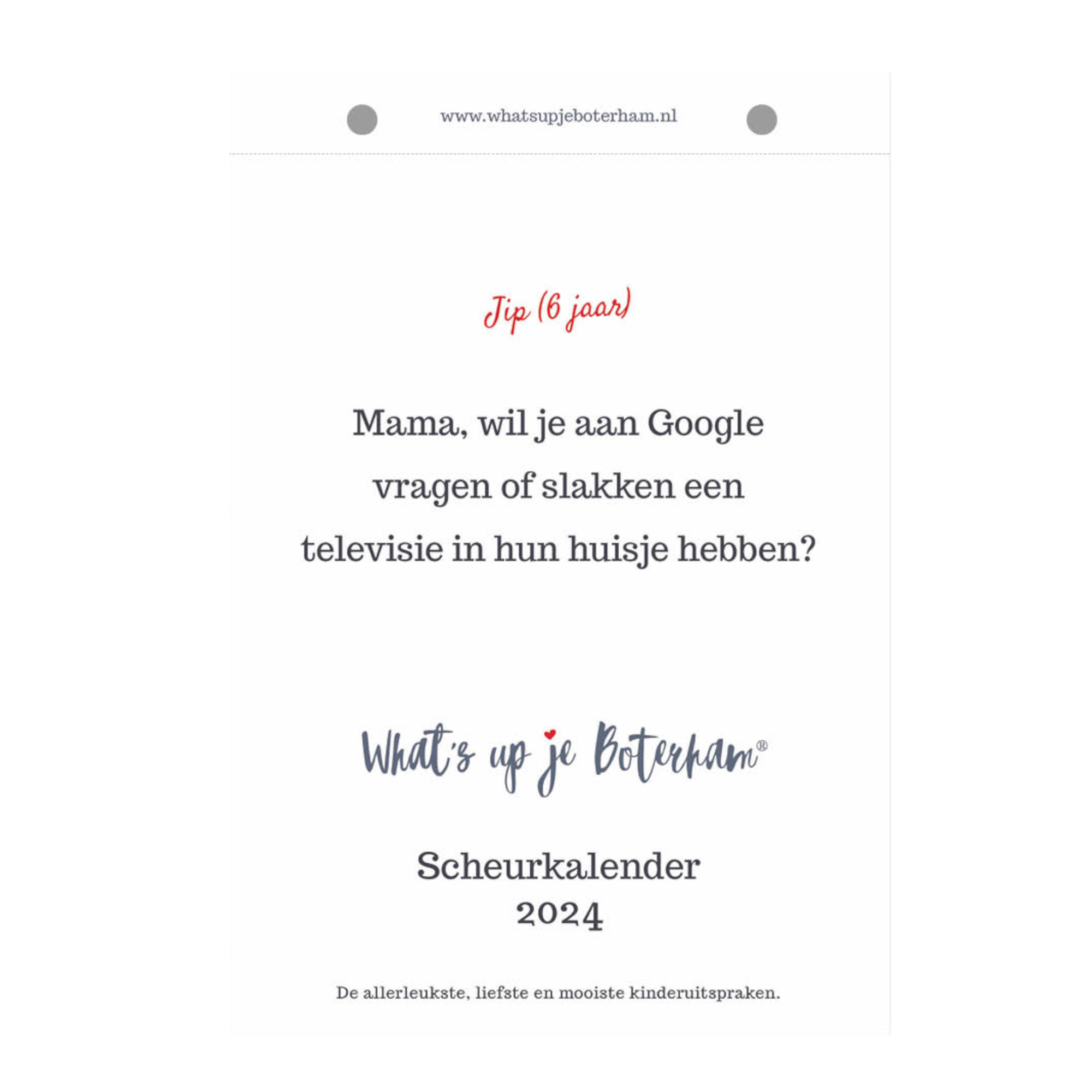 Scheurkalender - 2024 - What's up je boterham - 13x18cm
