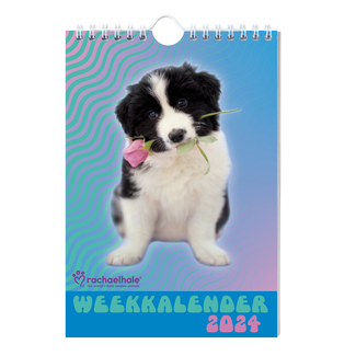 Interstat Week kalender - 2024 - Honden - Rachael Hale