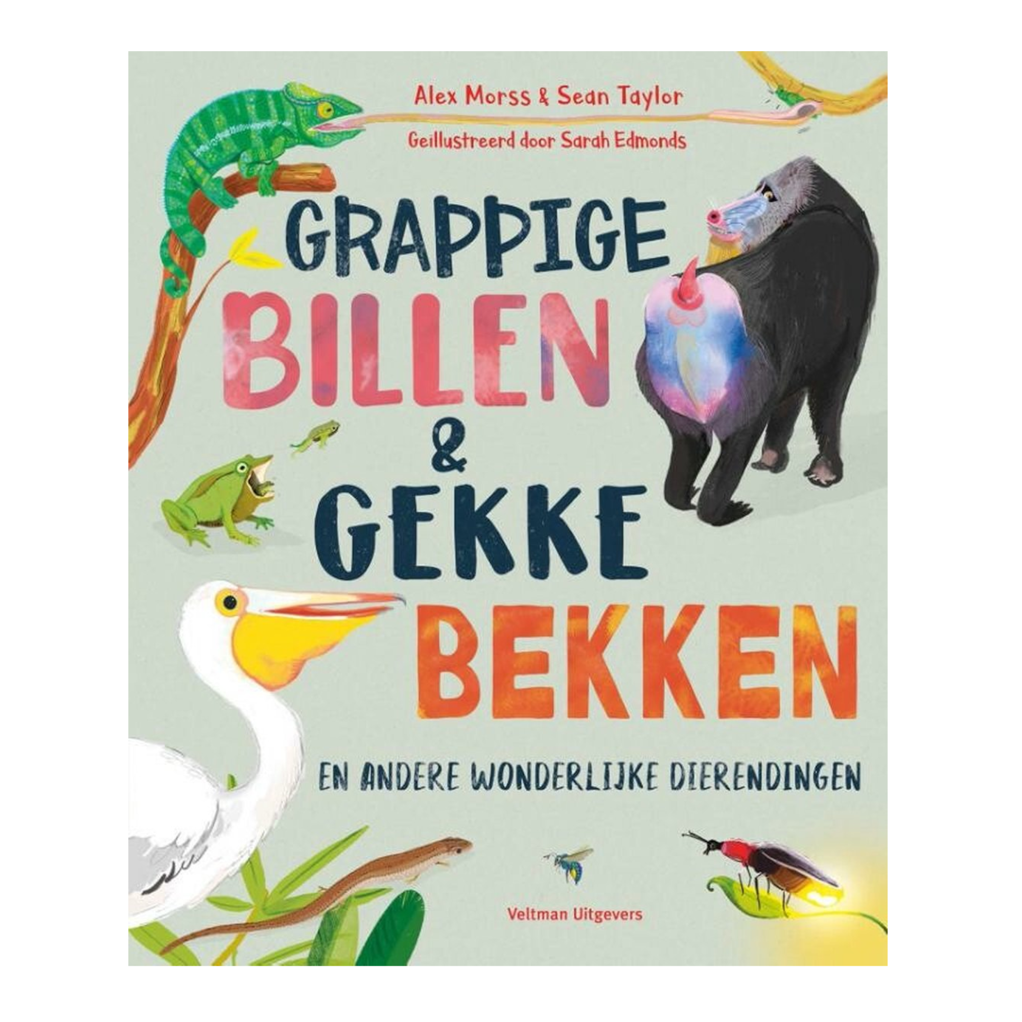 Boek - Grappige billen & gekke bekken