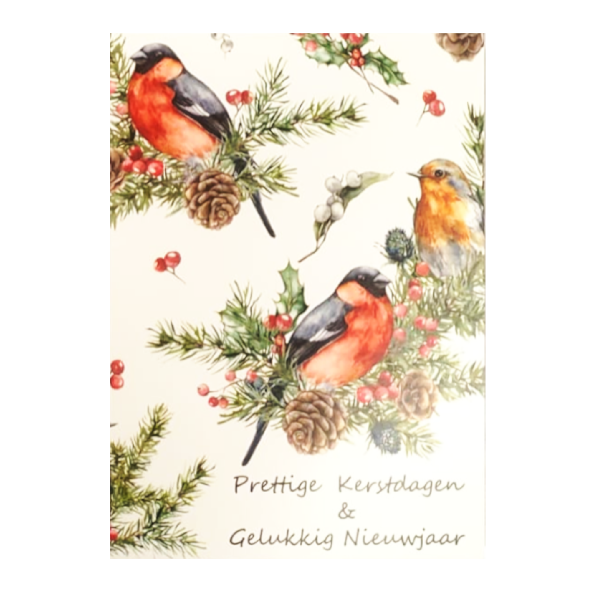 Kaarten - Kerst, nieuwjaar - 8st. - KJB005 - 109x148mm