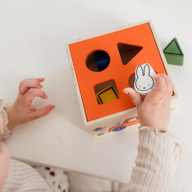 Bambolino Toys Vormenstoof - Nijntje