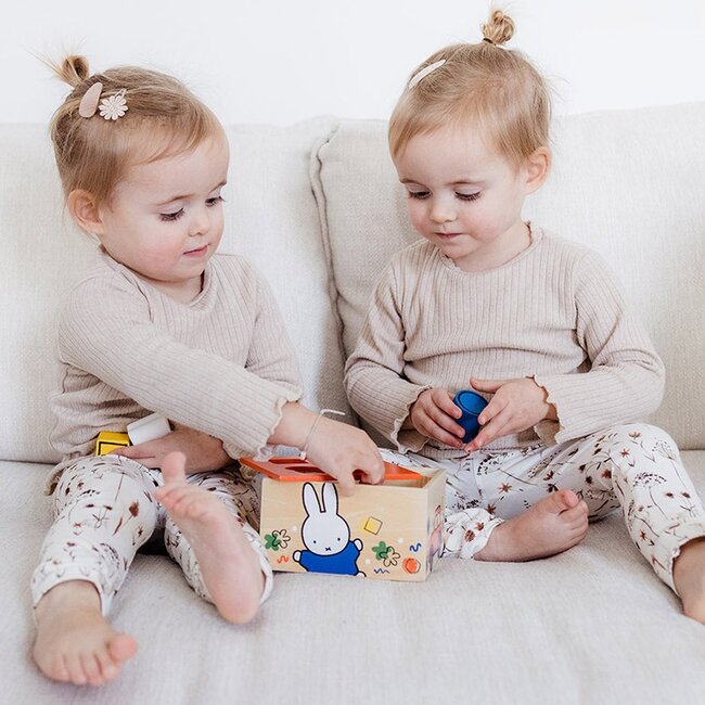 Bambolino Toys Vormenstoof - Nijntje