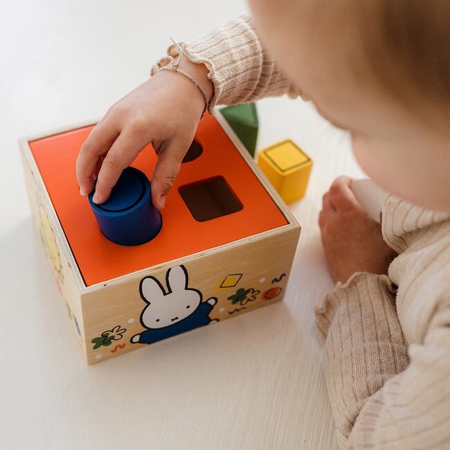 Bambolino Toys Vormenstoof - Nijntje