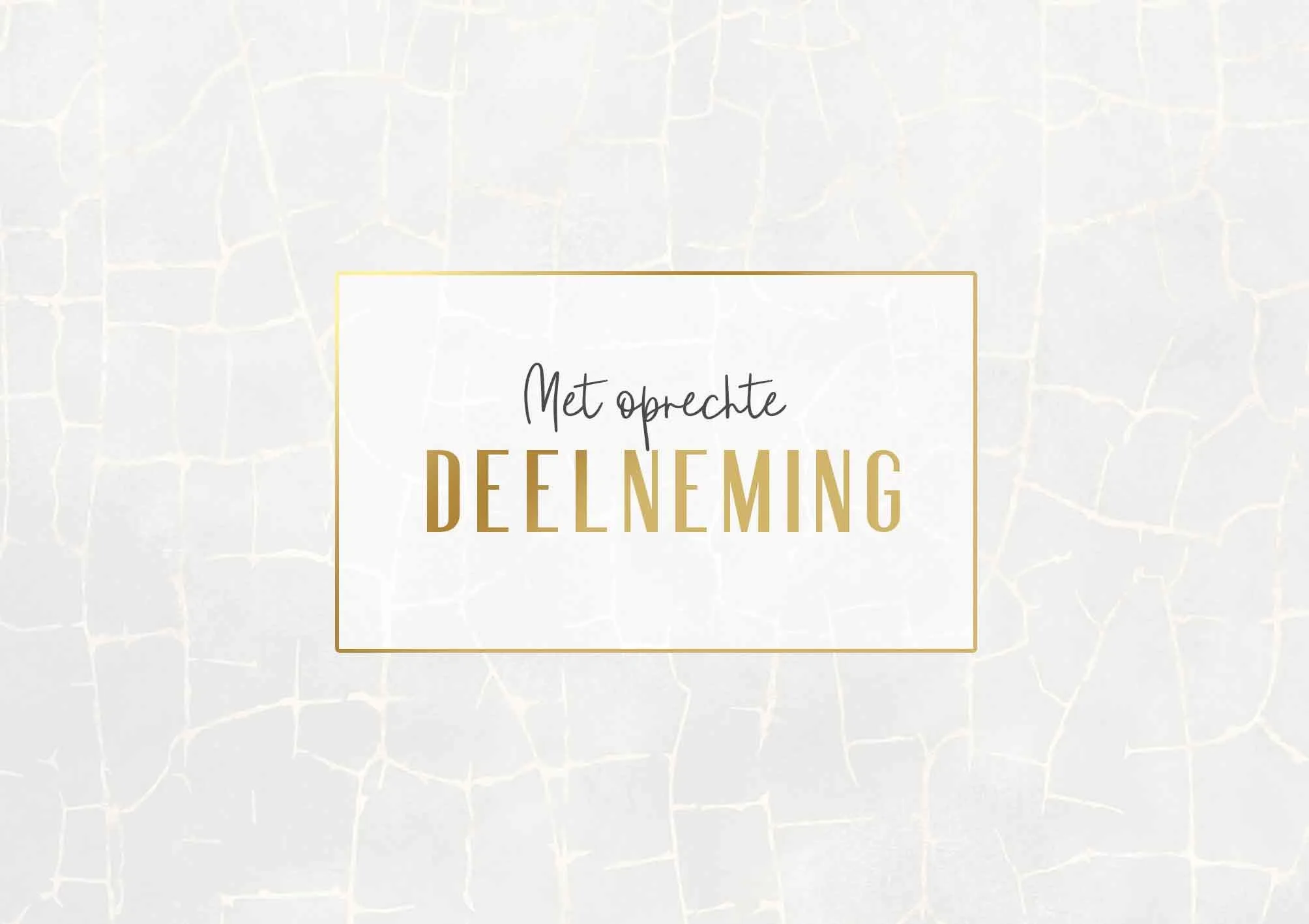 Kaart - Solace - Met oprechte deelneming - SOL009