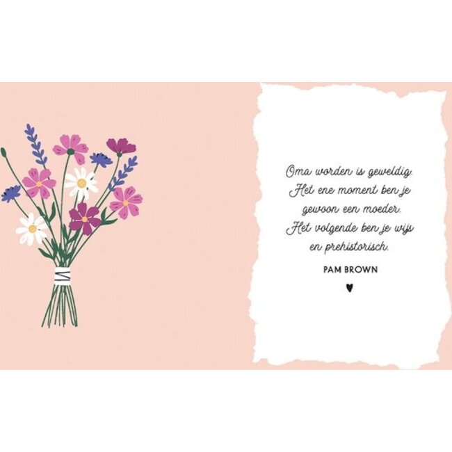 Lantaarn Boek - Hoera je wordt oma