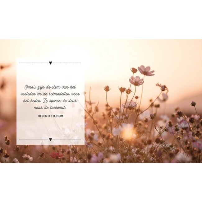 Lantaarn Boek - Hoera je wordt oma