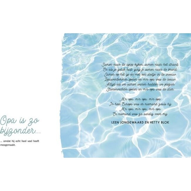 Lantaarn Boek - Hoera je wordt opa