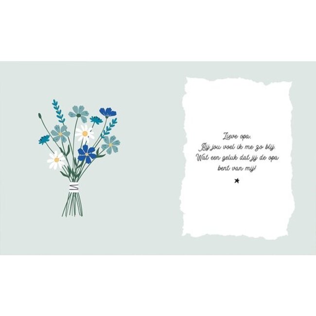 Lantaarn Boek - Hoera je wordt opa