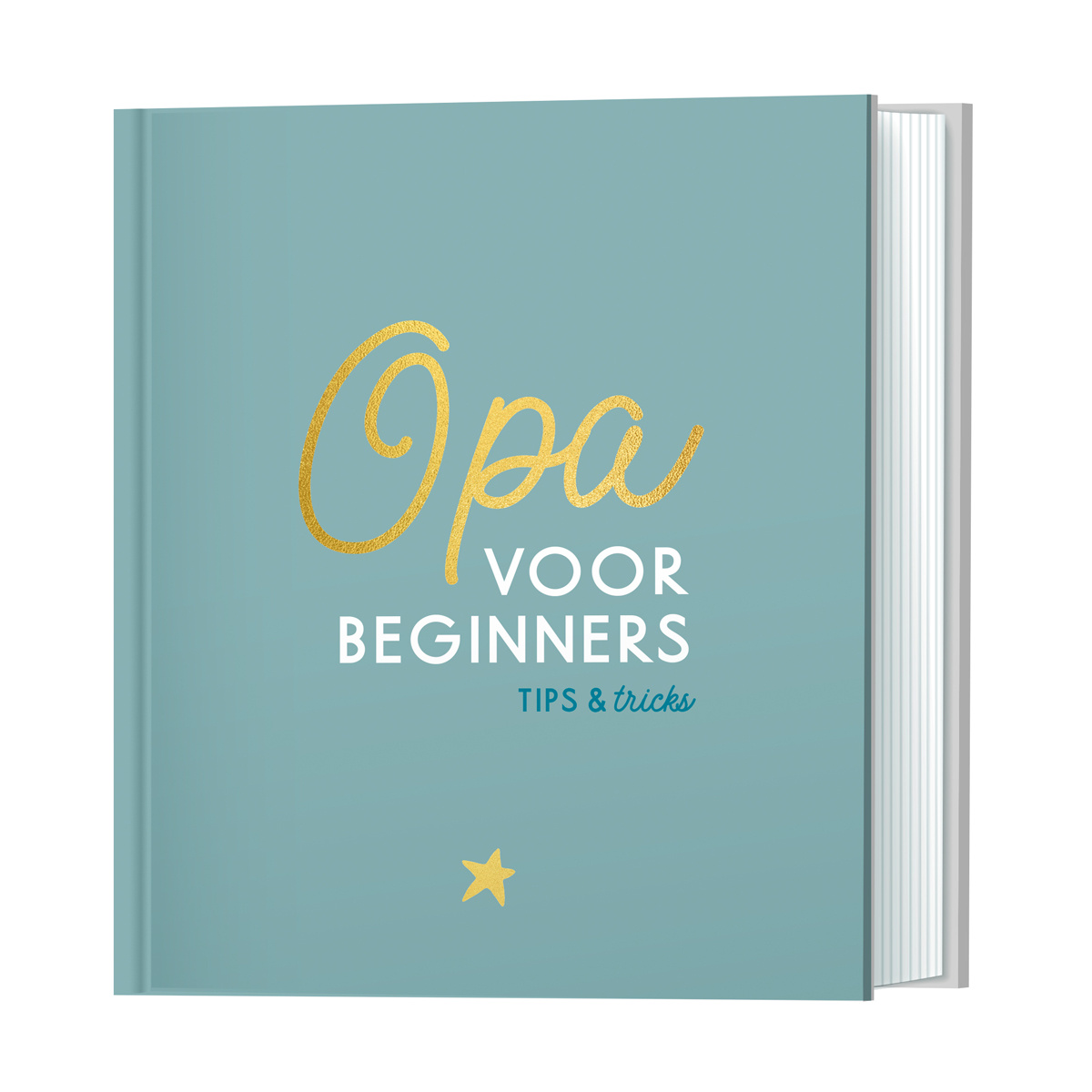 Boek - Opa voor beginners