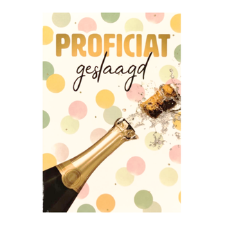 Artige Kaart - Geslaagd - SGR26 - Proficiat, geslaagd