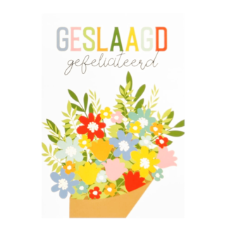 Artige Kaart - Geslaagd - SGR31 - Geslaagd, gefeliciteerd