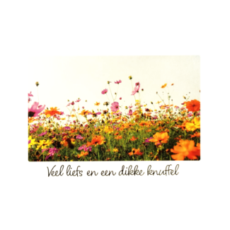 Artige Kaart - Artige - Little wishes - Veel liefs en een dikke knuffel - ECLT20-A
